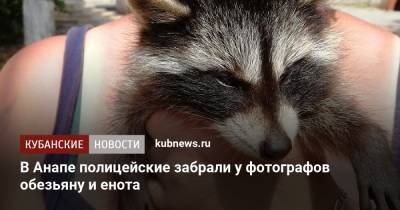 В Анапе полицейские забрали у фотографов обезьяну и енота - kubnews.ru - Анапа - Геленджик