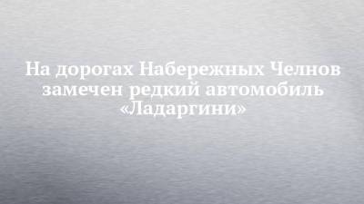 На дорогах Набережных Челнов замечен редкий автомобиль «Ладаргини» - chelny-izvest.ru - Набережные Челны