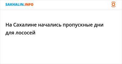 На Сахалине начались пропускные дни для лососей - sakhalin.info