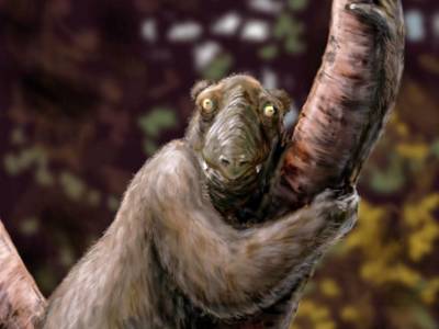 Ученые прочитали геном вымершего гигантского лемура - polit.ru - Мадагаскар