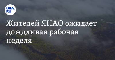 Жителей ЯНАО ожидает дождливая рабочая неделя - ura.news - окр. Янао