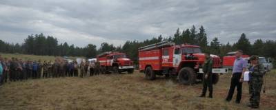 В Ростовской области из-за удара молнии вспыхнул лесной пожар - runews24.ru - Ростовская обл.