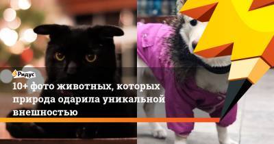 10+ фото животных, которых природа одарила уникальной внешностью - ridus.ru - Сочи - Краснодарский край