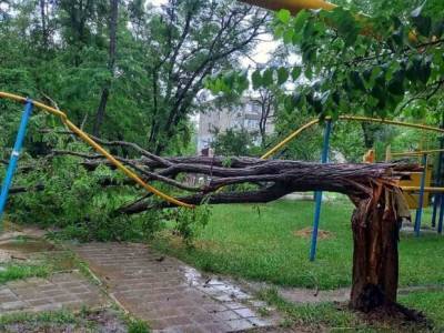 В КБР из-за урагана без электричества остались 2,5 тыс. человек - rosbalt.ru - Нальчик - респ. Кабардино-Балкария - район Баксанский - район Чегемский