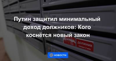 Владимир Путин - Путин защитил минимальный доход должников: Кого коснётся новый закон - news.mail.ru - Россия