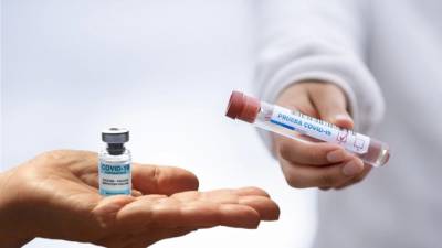 Михаил Мурашко - Объявлено о начале ревакцинации от COVID-19 в Ленобласти - piter.tv - Россия - Ленинградская обл.