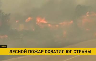 Страшный лесной пожар бушует на Кипре: жертвами стали четыре человека - ont.by - Италия - Египет - Белоруссия - Испания - Кипр - Греция