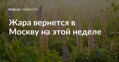 Жара вернется в Москву на этой неделе - mos.ru - Москва