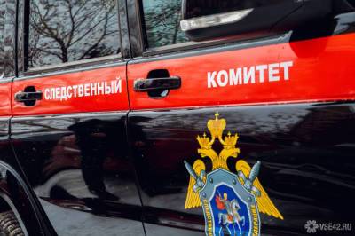 Тюменский СК завел дело об убийстве после пропажи подростка - news.vse42.ru - Россия - Тюмень - Тюменская обл.