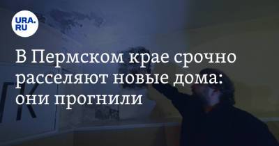 В Добрянке срочно расселяют новые дома, которые прогнили - ura.news - Пермский край