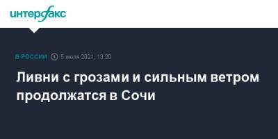 Ливни с грозами и сильным ветром продолжатся в Сочи - interfax.ru - Москва - Сочи - Краснодарский край