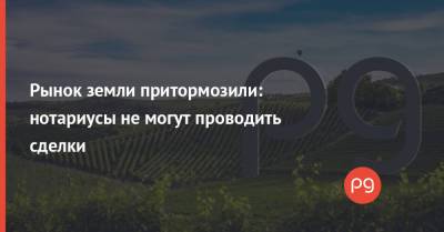 Рынок земли притормозили: нотариусы не могут проводить сделки - thepage.ua - Украина