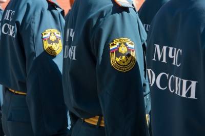 В Тульской области за неделю спасатели выезжали на вызовы 500 раз - tula.mk.ru - Россия - Тула - Тульская обл.