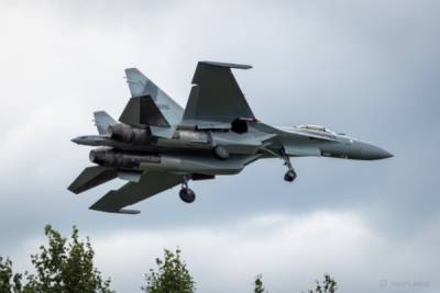 Египет получил российские Су-35: Каир проигнорировал «обеспокоенность» США - eadaily.com - Россия - США - Египет - Стокгольм
