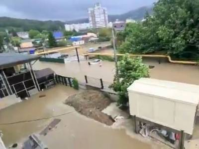 Появилось видео затопления российского Сочи: машины под водой, люди плавают по улицам (ФОТО. ВИДЕО) - enovosty.com - Россия - Крым - Сочи - Адлер