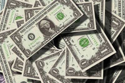 Минфин увеличит закупку валюты до рекордных 13,5 млрд рублей в день - pnp.ru