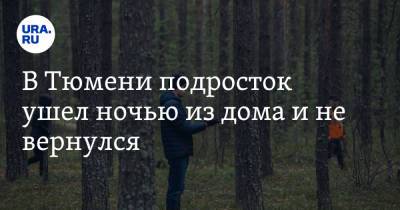 В Тюмени подросток ушел ночью из дома и не вернулся. Начаты поиски - ura.news - Россия - Тюмень - Тюменская обл. - район Тюменский