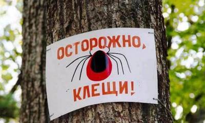За неделю три случая подозрения на энцефалит зарегистрировано в Петрозаводске - gubdaily.ru - Петрозаводск