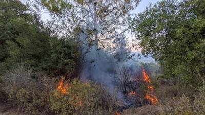 Израильтянина с двумя маленькими детьми пытались линчевать в лесу возле Иерусалима - vesty.co.il - Израиль - Иерусалим