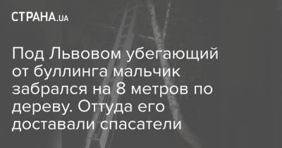 Под Львовом убегающий от буллинга мальчик забрался на 8 метров по дереву. Оттуда его доставали спасатели - strana.ua - Украина - Львов - Львовская обл.