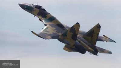Египет проигнорировал угрозы США ввести санкции из-за российских Су-35 - newinform.com - Россия - США - Израиль - Египет - Стокгольм