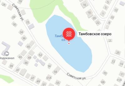 В Воронежской области вновь ищут подрядчика для благоустройства «Перламутрового озера» - gorcom36.ru - Воронеж - Воронежская обл. - Павловск
