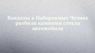 Вандалы в Набережных Челнах разбили камнями стекла автомобиля - chelny-izvest.ru - Набережные Челны