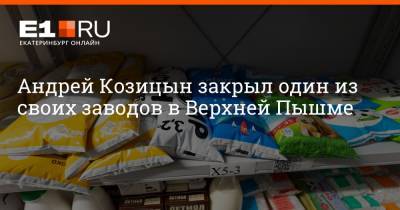 Андрей Козицын - Максим Бутусов - Андрей Козицын закрыл один из своих заводов в Верхней Пышме - e1.ru - Екатеринбург