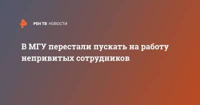 В МГУ перестали пускать на работу непривитых сотрудников - ren.tv