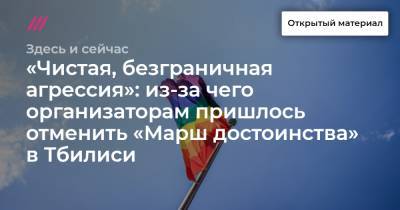 «Чистая, безграничная агрессия»: из-за чего организаторам пришлось отменить «Марш достоинства» в Тбилиси - tvrain.ru - Грузия - Тбилиси