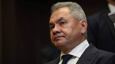Сергей Шойгу - Владимир Меньшов - Шойгу выразил соболезнования в связи со смертью Меньшова - iz.ru - Россия - Израиль
