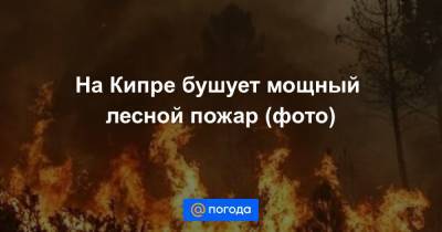 На Кипре бушует мощный лесной пожар (фото) - news.mail.ru - Италия - Израиль - Кипр - Греция