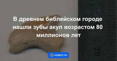 В древнем библейском городе нашли зубы акул возрастом 80 миллионов лет - news.mail.ru - Иерусалим