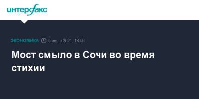 Мост смыло в Сочи во время стихии - interfax.ru - Москва - Россия - Сочи