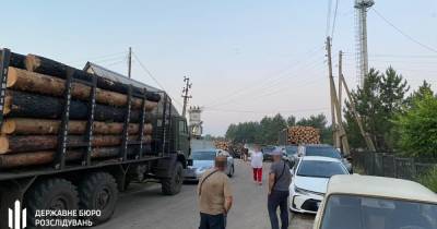 Топ-чиновники организовали схему по продаже "сгоревшей" древесины в Луганской области, - ГБР (фото, видео) - focus.ua - Украина - Луганская обл.