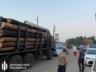 ГБР разоблачило бывших чиновников на продаже лесоматериалов. В документах они писали, что древесина сгорела на пожарах в Луганской области - gordonua.com - Украина - Луганская обл. - Луганск