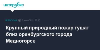 Крупный природный пожар тушат близ оренбургского города Медногорск - interfax.ru - Москва - Оренбургская обл. - Медногорск
