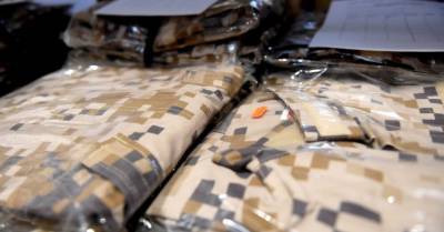 Артис Пабрикс - Латвия усилит военное сотрудничество с Украиной и увеличит там количество гражданских экспертов - rus.delfi.lv - Украина - Латвия