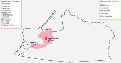 54 гектара обработали, осталось 70 га: где в Гурьевском районе самая сложная ситуация с борщевиком (карта) - klops.ru - Калининград - Калининградская обл. - Полесск