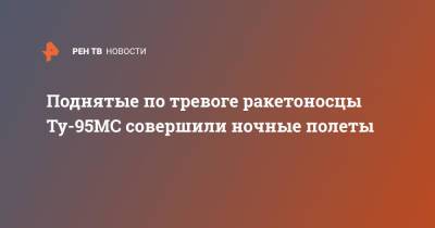Поднятые по тревоге ракетоносцы Ту-95МС совершили ночные полеты - ren.tv - Россия - Саратовская обл.