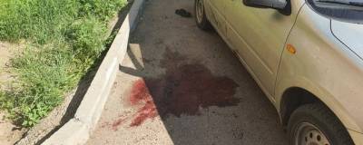 В одном из дворов Читы произошла стрельба - runews24.ru - Забайкальский край - Чита