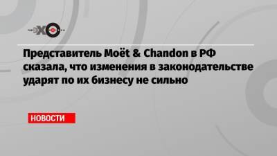 Владимир Путин - Борис Титов - Представитель Moët & Chandon в РФ сказала, что изменения в законодательстве ударят по их бизнесу не сильно - echo.msk.ru - Россия