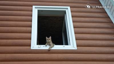 Дача для отдыха. Посчитали: выгодно или затратно - ulpravda.ru - Ульяновская