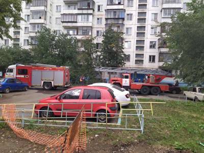 В Челябинске во время пожара в многоэтажке спасли двоих детей и мужчину - znak.com - Челябинск