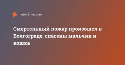 Смертельный пожар произошел в Волгограде, спасены мальчик и кошка - ren.tv - Волгоград