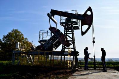 Аналитики предсказали рост нефти до 100 долларов - lenta.ru