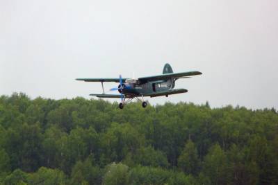 На Камчатке район маршрута пропавшего Ан-26 исследуют вертолеты и самолет - mk.ru - Камчатский край - Петропавловск-Камчатский