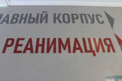 Максим Забелин - В Башкирии число тяжелых пациентов с COVID-19 за сутки увеличилось в два раза - ufacitynews.ru - Россия - Башкирия