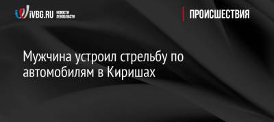 Мужчина устроил стрельбу по автомобилям в Киришах - ivbg.ru - Россия - Украина - Ленинградская обл. - Санкт-Петербург