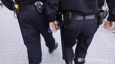 В Екатеринбурге оппозиция проведёт согласованный митинг - newdaynews.ru - Екатеринбург - Свердловская обл.